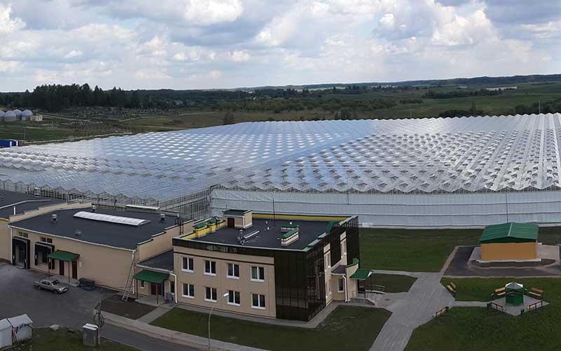 Тепличные системы Venlo «под ключ»